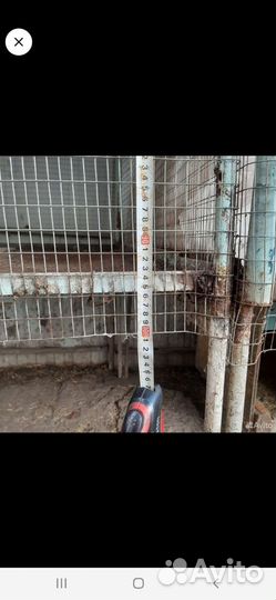 Клетки под бролер И можно под кралей