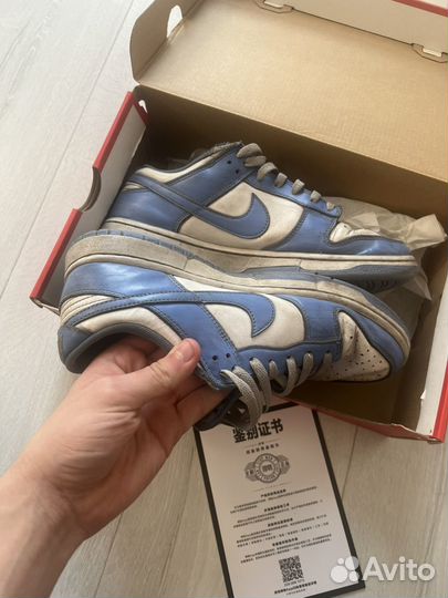 Nike dunk low polar blue