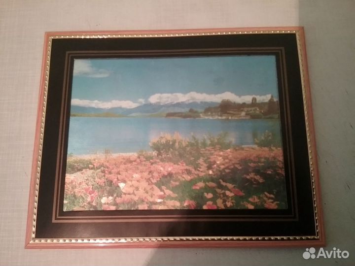 Картина - шелкография