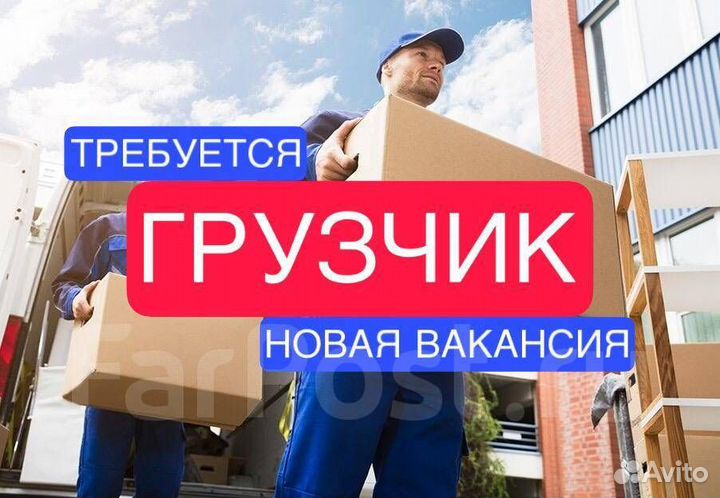 Грузчик (п.Мирный, 2А)