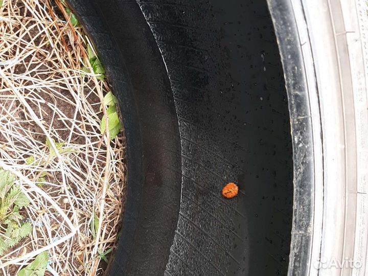 Goodyear EfficientGrip Performance 255/45 R17 94W