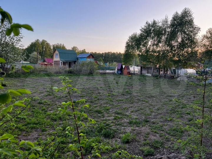 Участок 7,5 сот. (СНТ, ДНП)