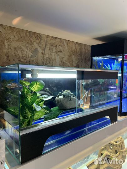 Террариум для ящериц