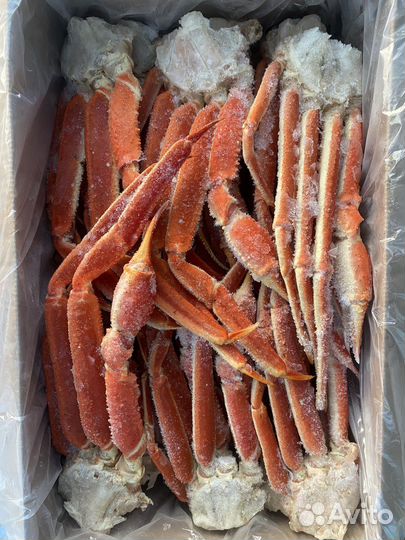 Свежая рыба морепродукты