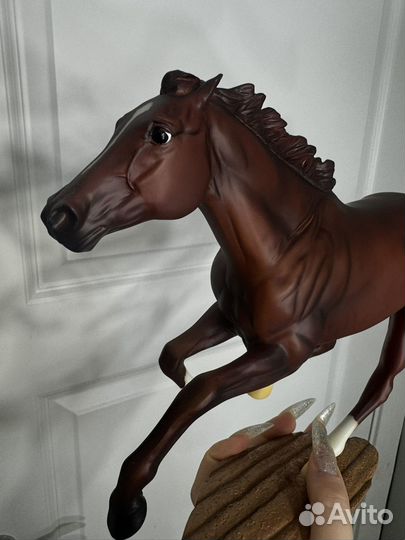 Breyer Secretariat