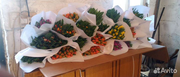 Тюльпаны оптом