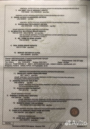 Вязка Стаффордширского Терьера (кабель)