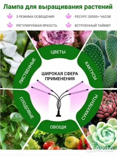 Фитолампа