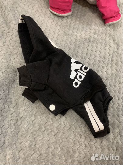 Одежда для собак