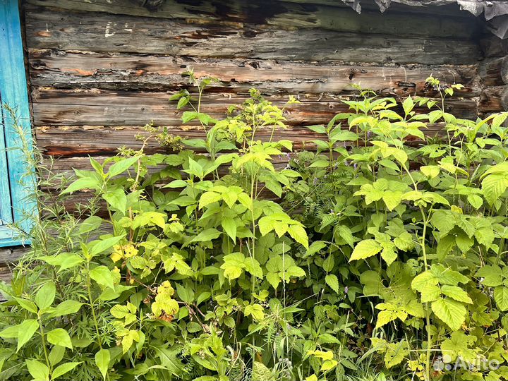 Сруб для отдам бесплатно