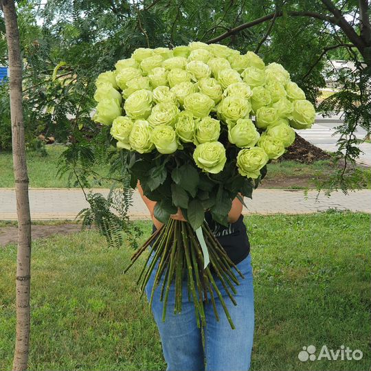 Высокие розы с доставкой