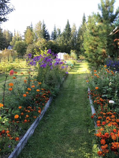 Дача 50 м² на участке 12 сот.