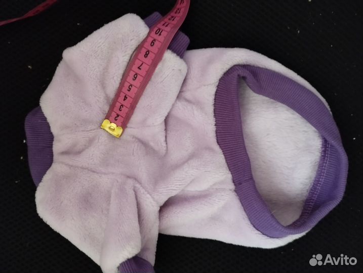 Одежда для кошки