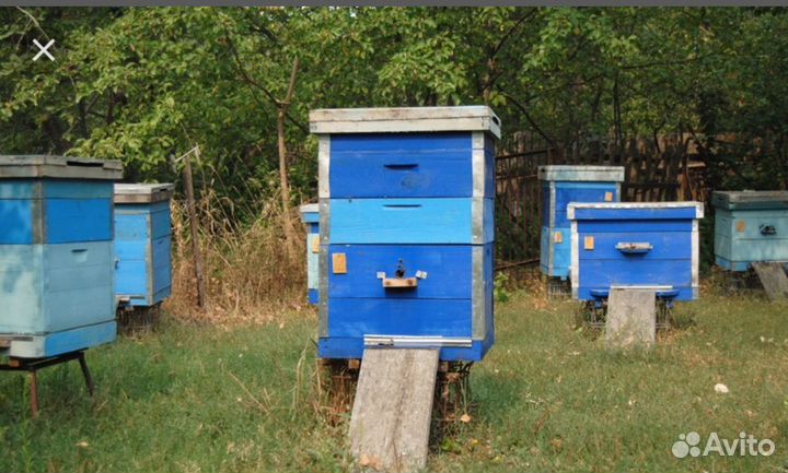 Улья, подставки для ульев