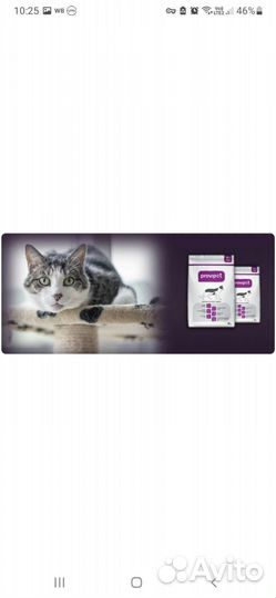 Сухой корм Provipet для кошек с курицей