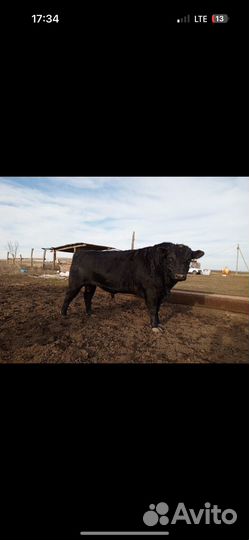 Заготовитель