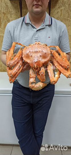Рыба и морепродукты