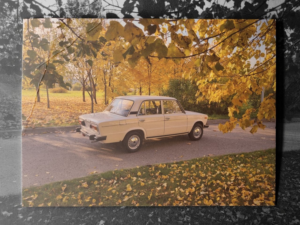 ВАЗ (LADA) 2106: фото владельца