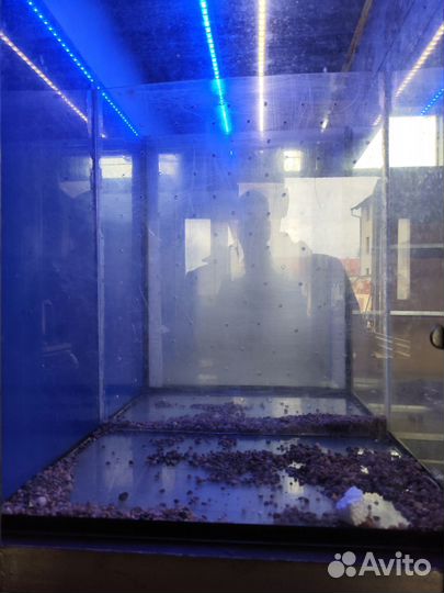 Аквариум тераниум