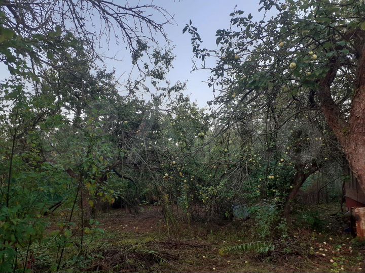 Дача 40 м² на участке 6 сот.