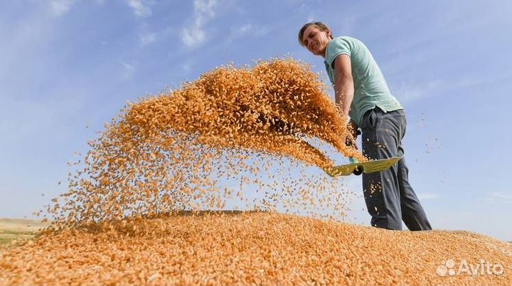 Разнорабочий от 30 смен. Всё включено. Вахта