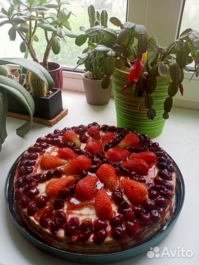 Рассада клубники