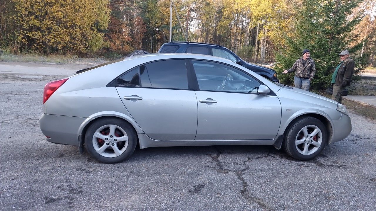 Nissan Primera: фото владельца
