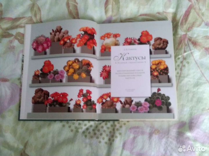 Полный справочник 