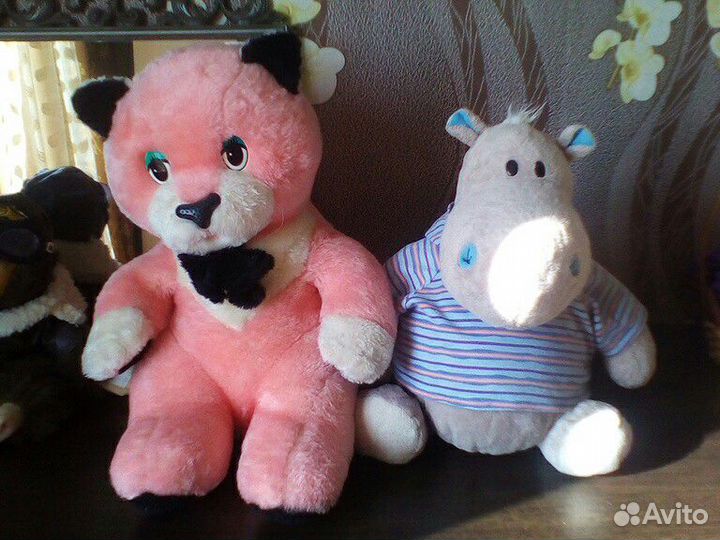 Кот и бегемот