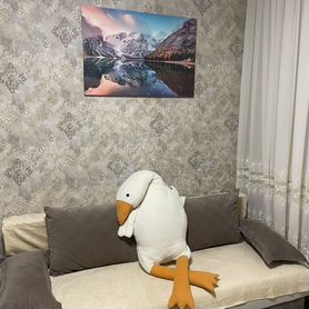Квартира-студия, 25 м², 1 кровать