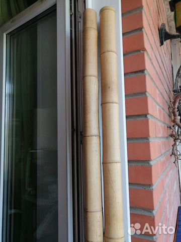 Бамбук ствол