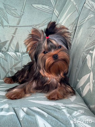 Шикарная кукольная мини-девочка