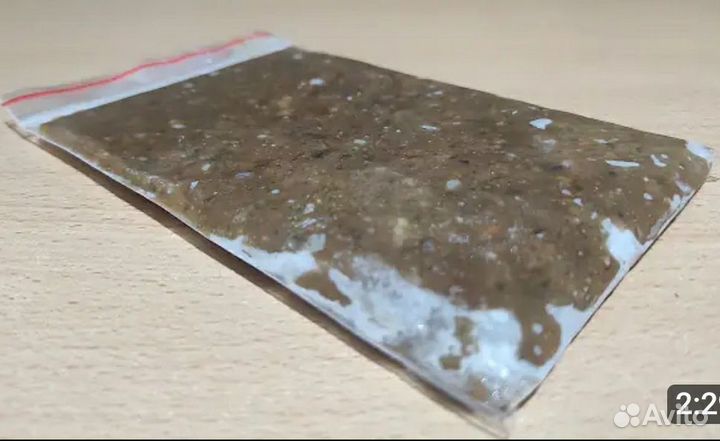 Фарш для дискусов