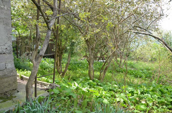 Участок 9,6 сот. (СНТ, ДНП)