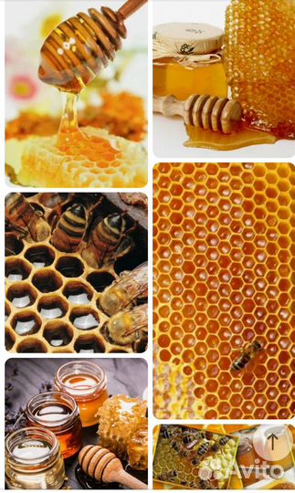 Соковыжиималка мёд