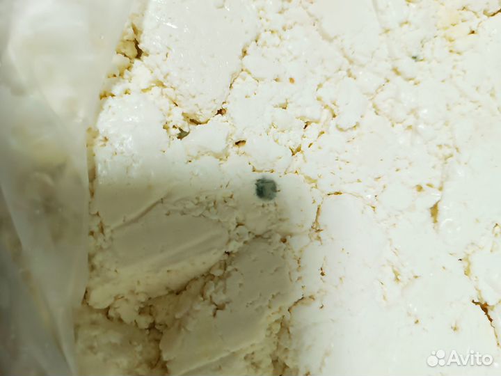 Творог замороженный на корм животным