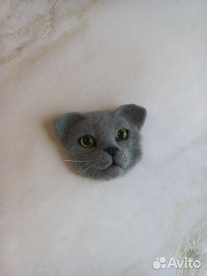 Брошь, британский кот