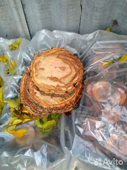 Продам спилы дерева для декораций
