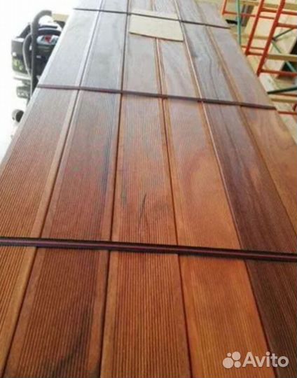 Планкен меранти PLM-5789