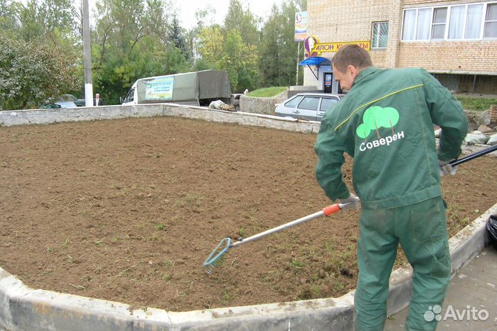 Услуги садовника. Подготовка сада к зиме