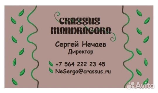 Услуги дизайнера: логотипы, визитки, логобук