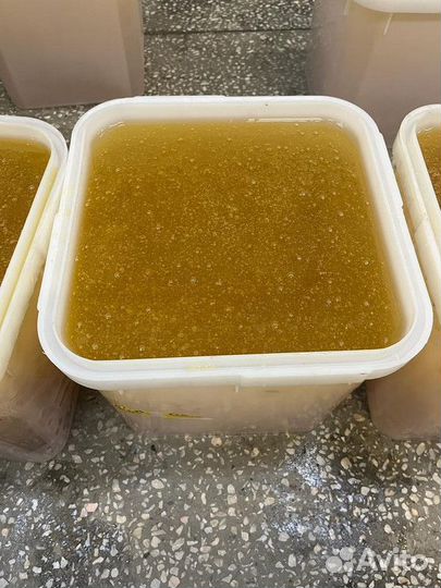 Донник свежий опт