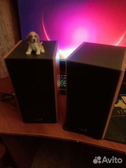 Акустика Genius SP-HF2000A 2.0 65Wt