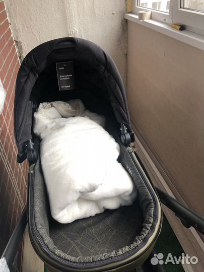 Коляска Anex m type 2 в 1