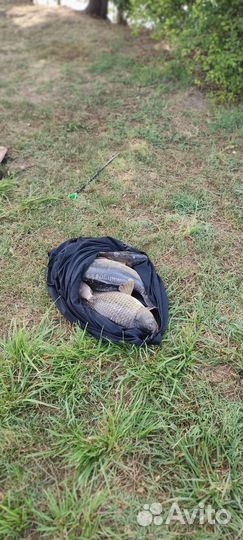 Рыбалка отдых рядом