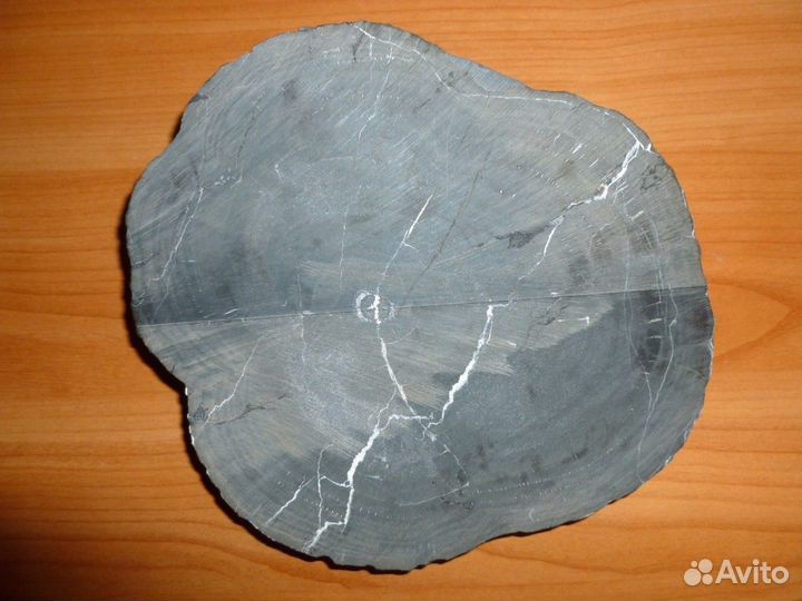 Окаменелое дерево 4 кг, Палеозой