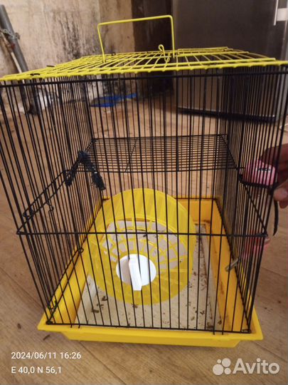 Клетка для грызунов бу