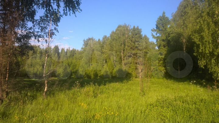 Участок 15 сот. (ИЖС)