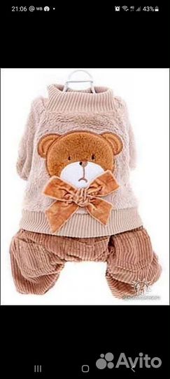 Одежда для маленьких собак