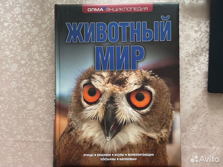 Книга энциклопедия